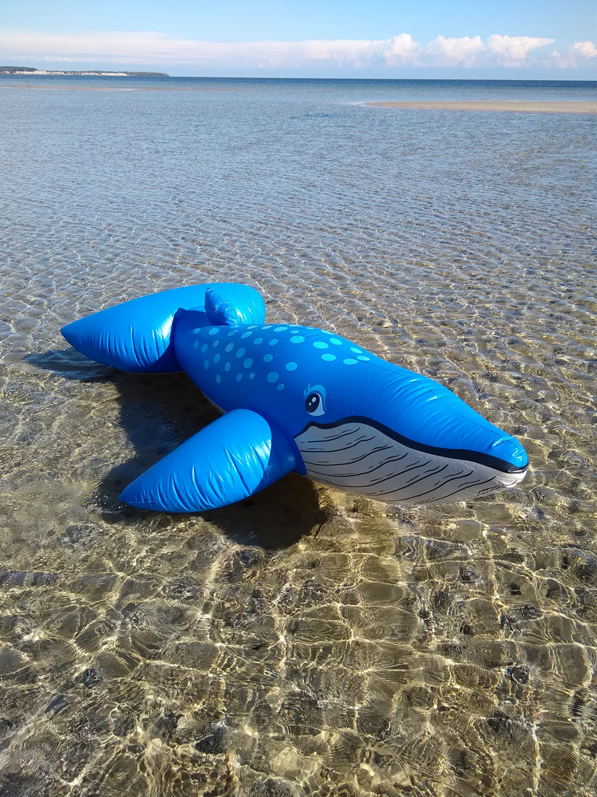 Classic 1990s inflatable blue whale ride-on - Image 4