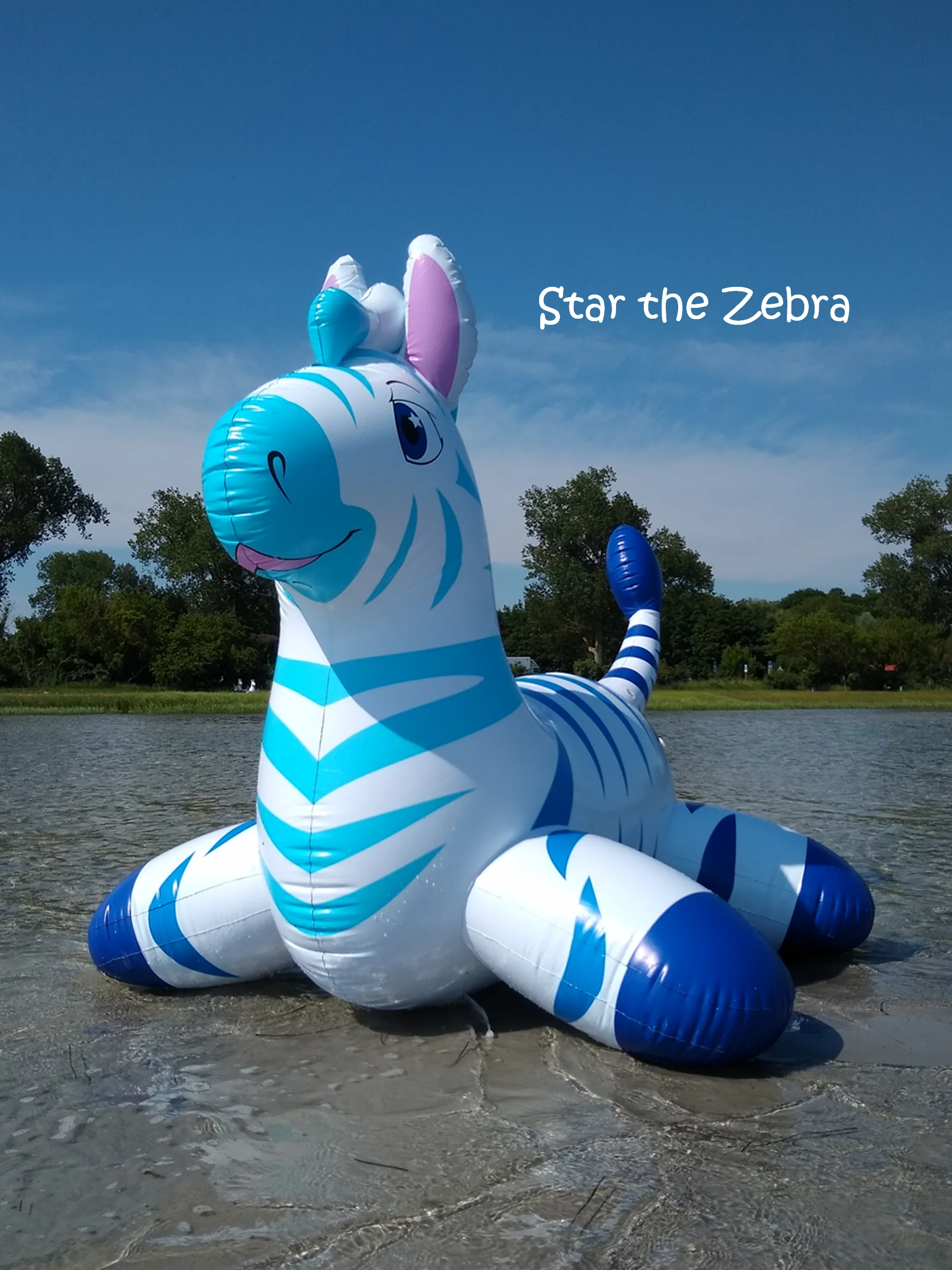 Magical Stable - inflatable hopper animals by Arin - Image 3