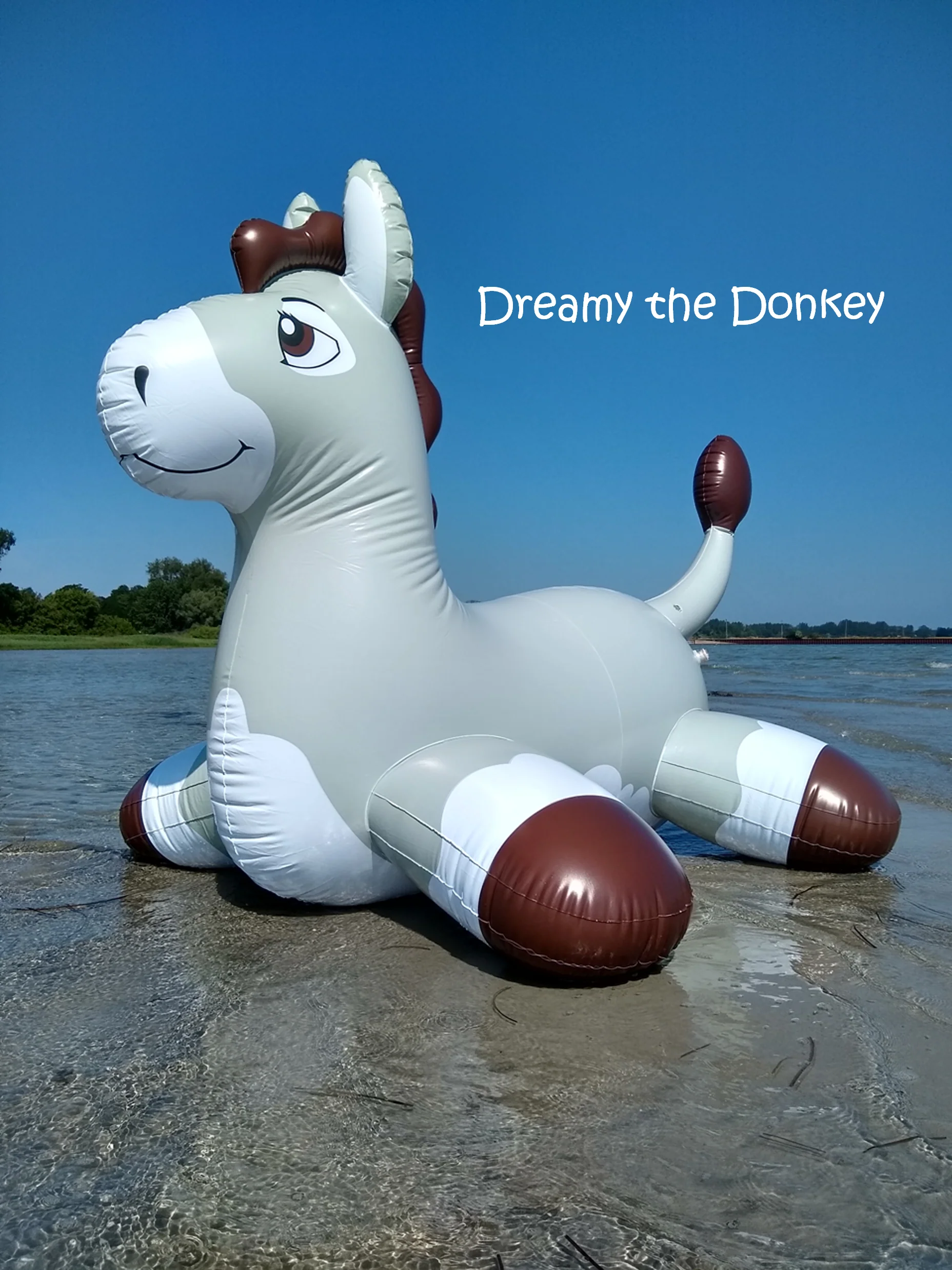 Magical Stable - inflatable hopper animals by Arin - Image 4