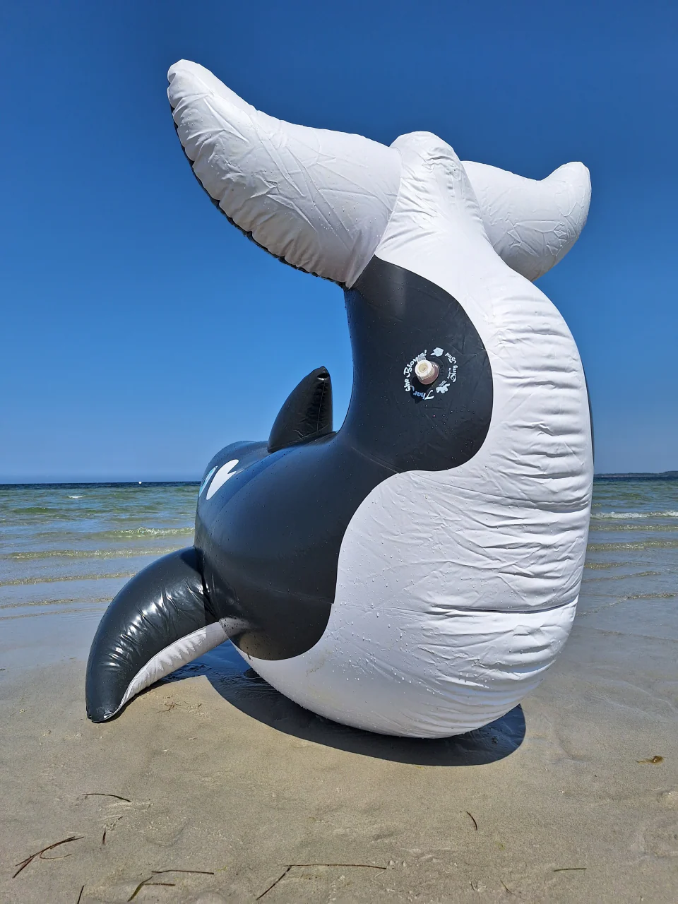 Inflatable Orca Whale by Dirty Bird - Image 3
