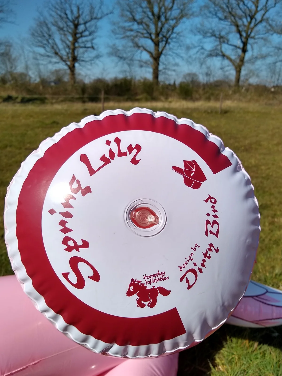 Spring Lily - the inflatable floral unicorn - Image 6