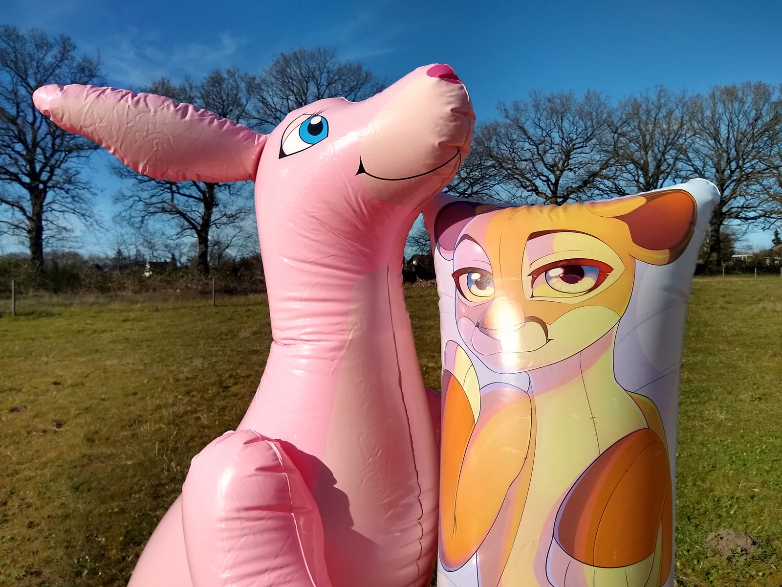 Squeaky Cougar by Fensu - Inflatable body pillow - Image 3