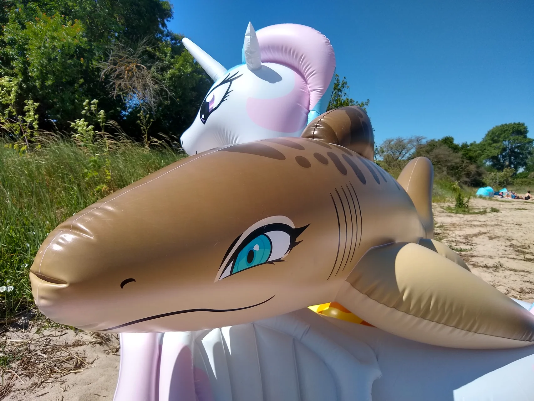 Tarni - Inflatable Sand Shark by Kittell Fox - Image 10