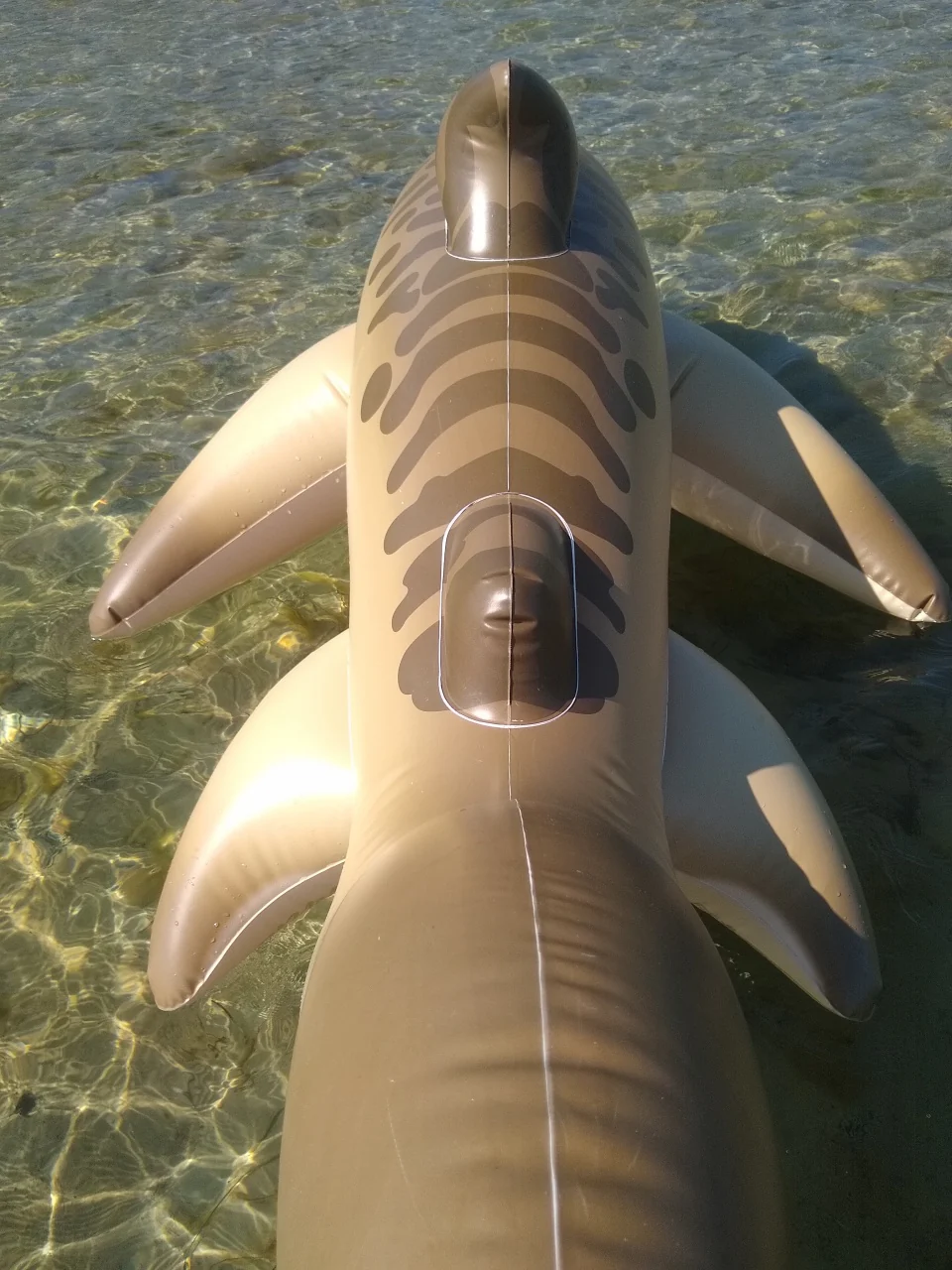 Tarni - Inflatable Sand Shark by Kittell Fox - Image 11