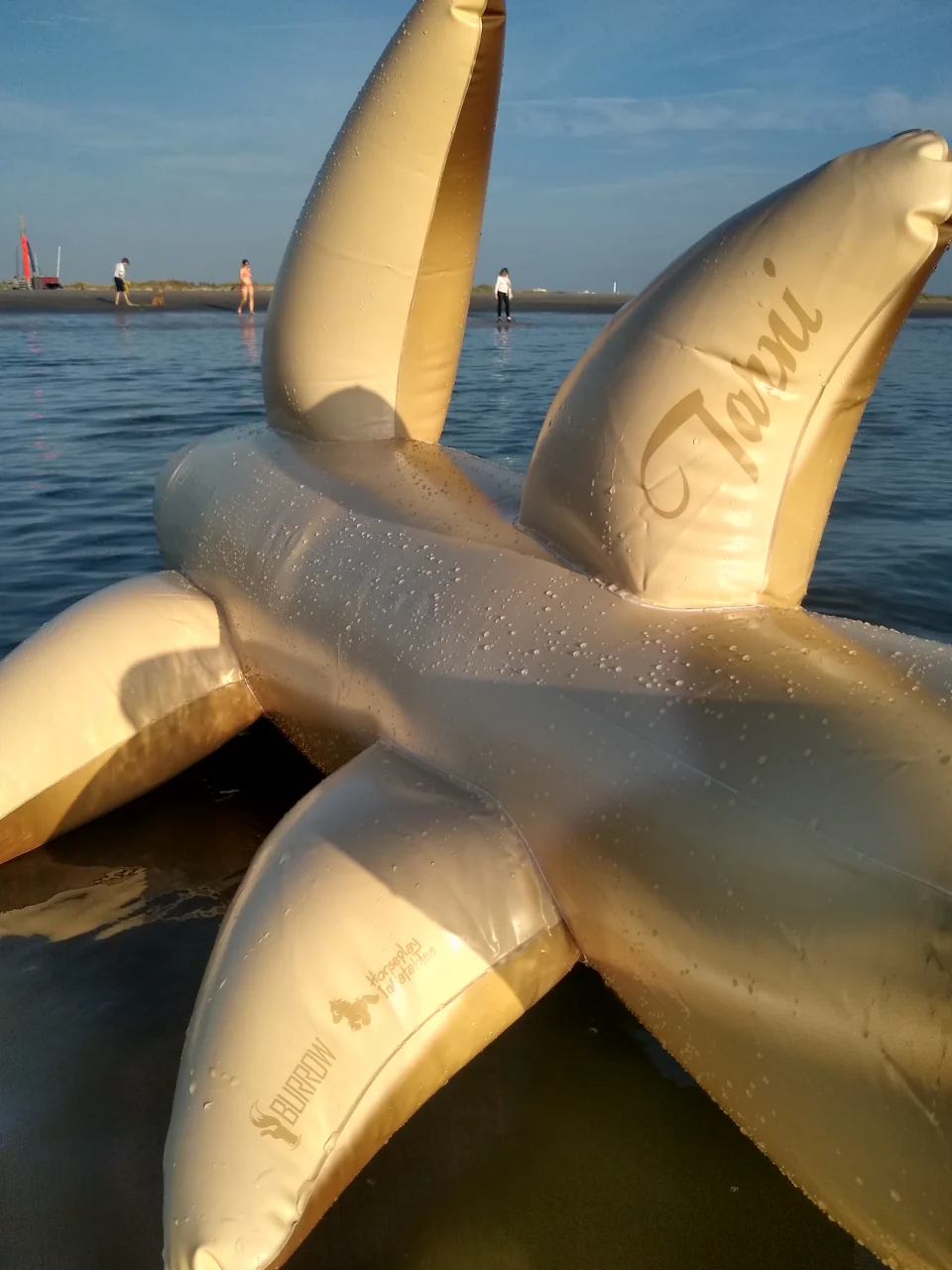 Tarni - Inflatable Sand Shark by Kittell Fox - Image 12