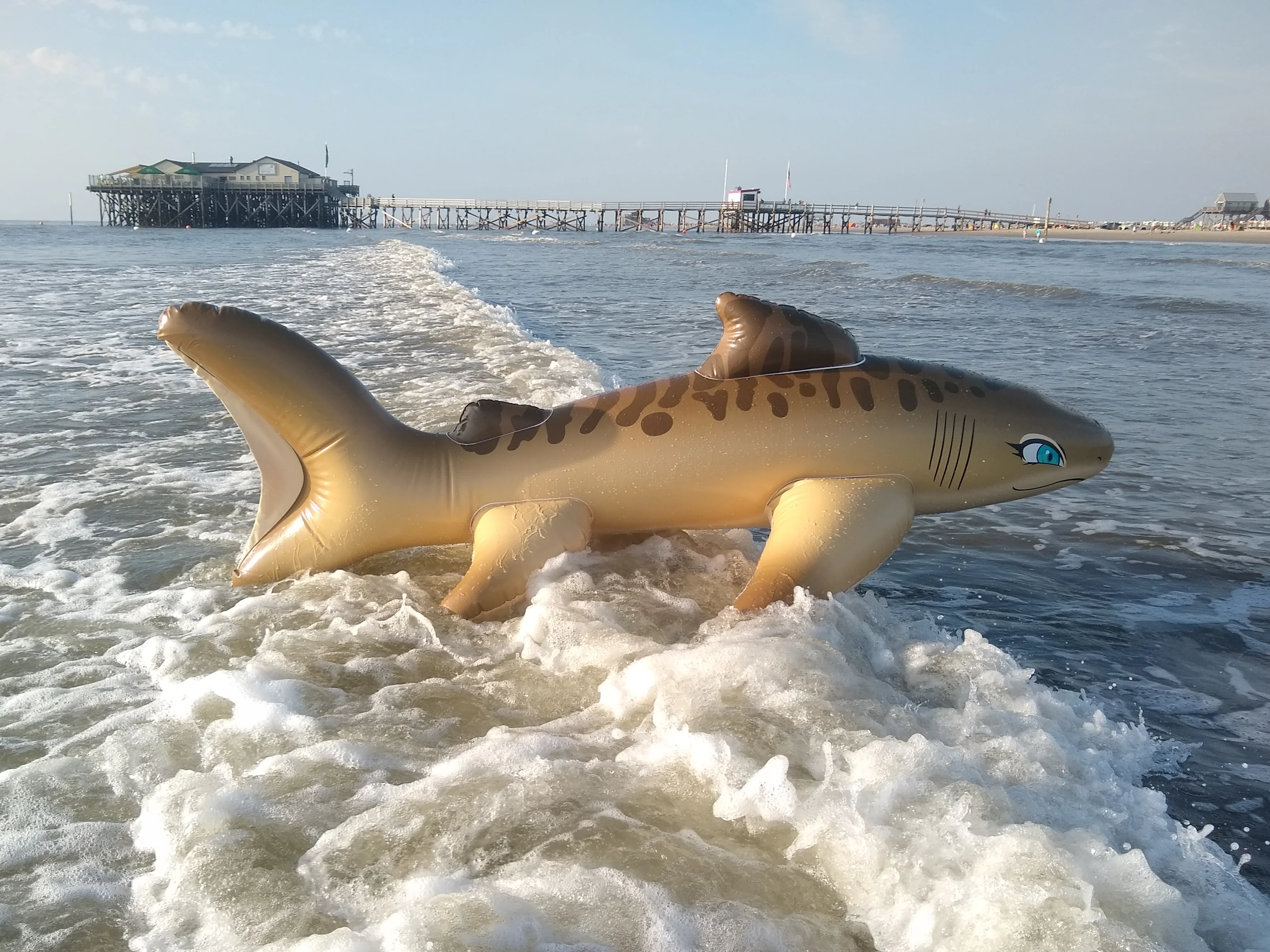 Tarni - Inflatable Sand Shark by Kittell Fox - Image 13