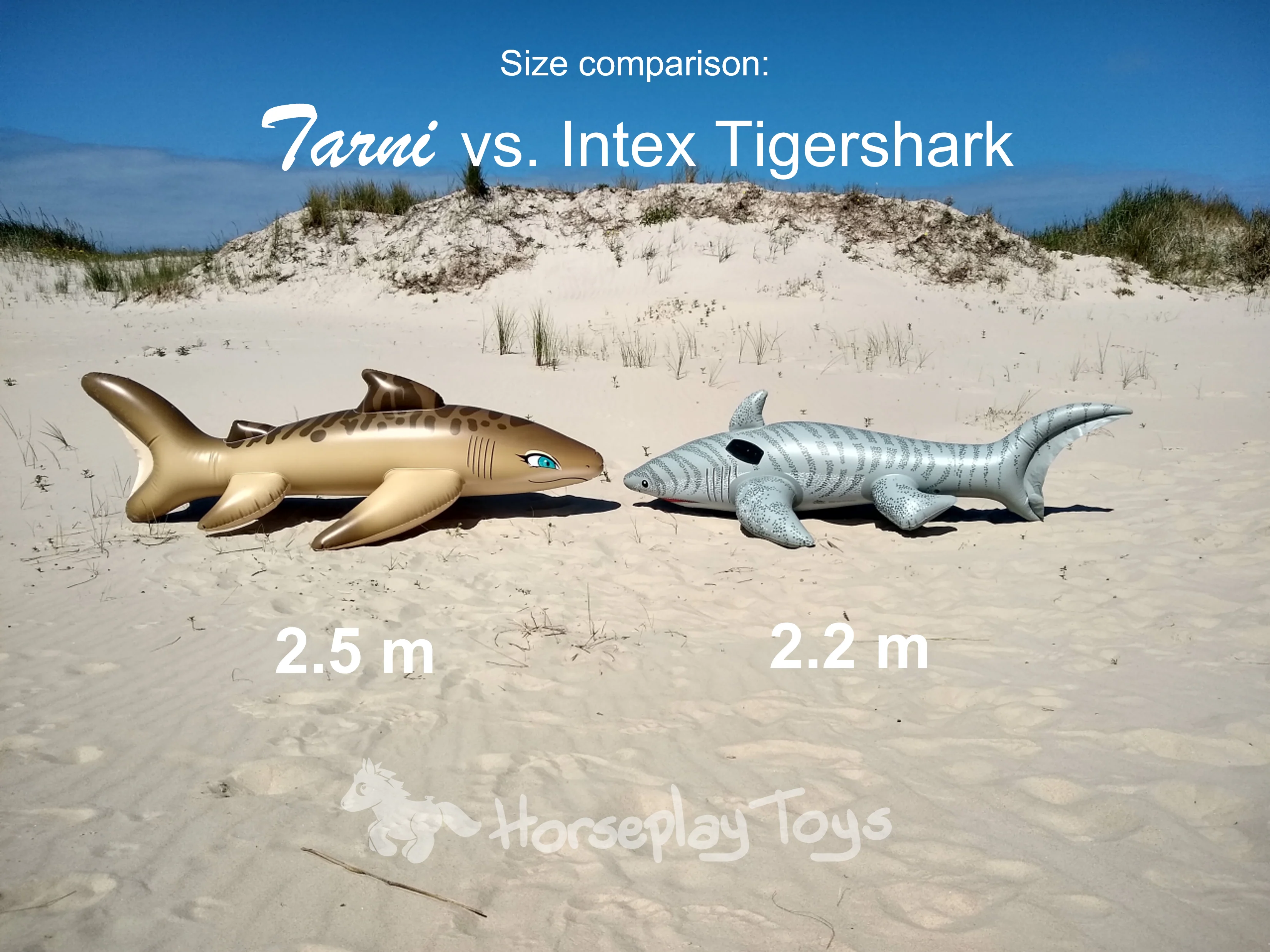 Tarni - Inflatable Sand Shark by Kittell Fox - Image 3