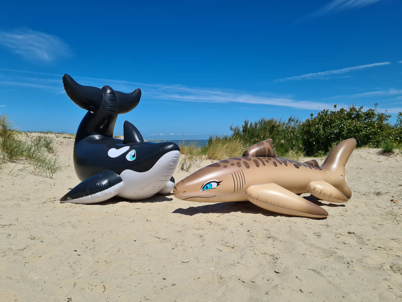 Tarni - Inflatable Sand Shark by Kittell Fox - Image 4