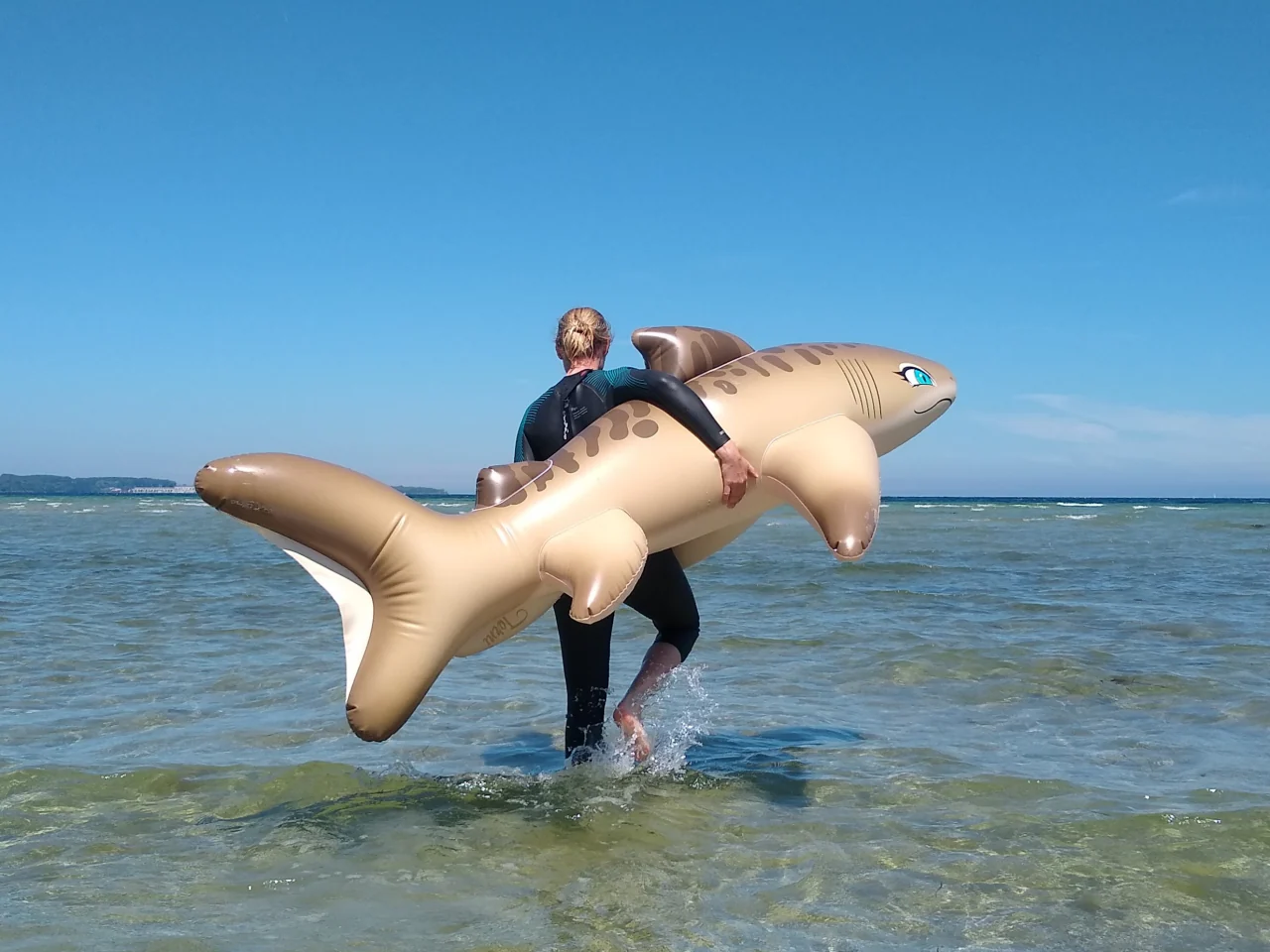 Tarni - Inflatable Sand Shark by Kittell Fox - Image 6
