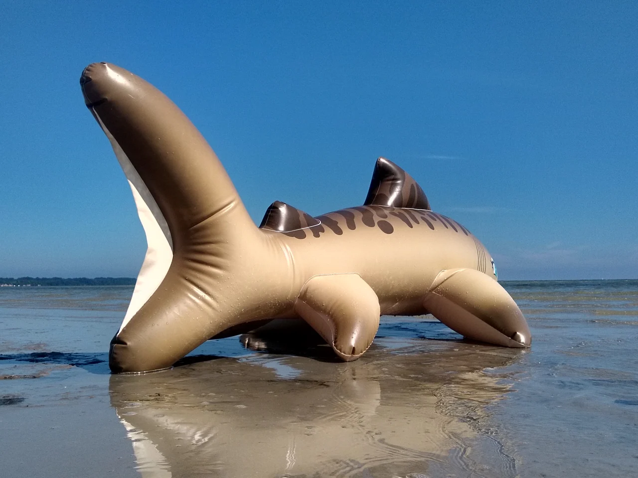 Tarni - Inflatable Sand Shark by Kittell Fox - Image 7