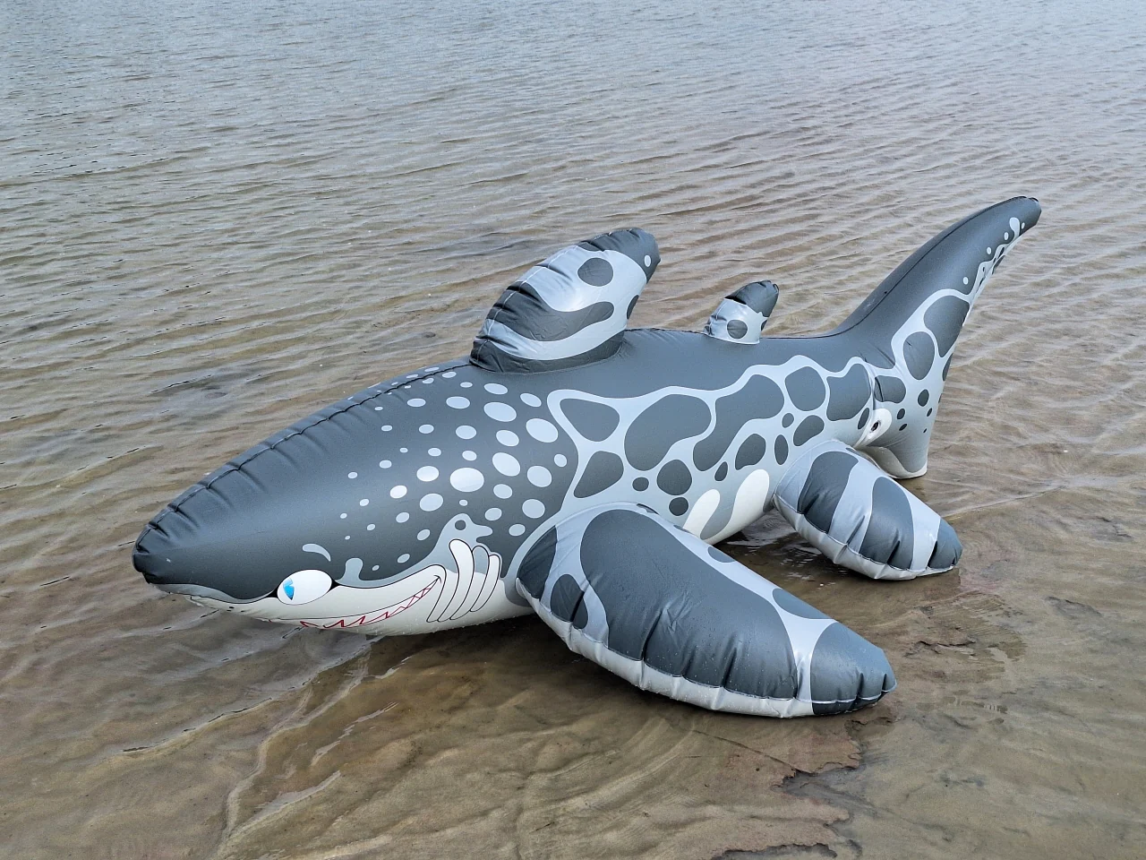 Triakis - Inflatable Leopard Shark by Buteo - Image 3