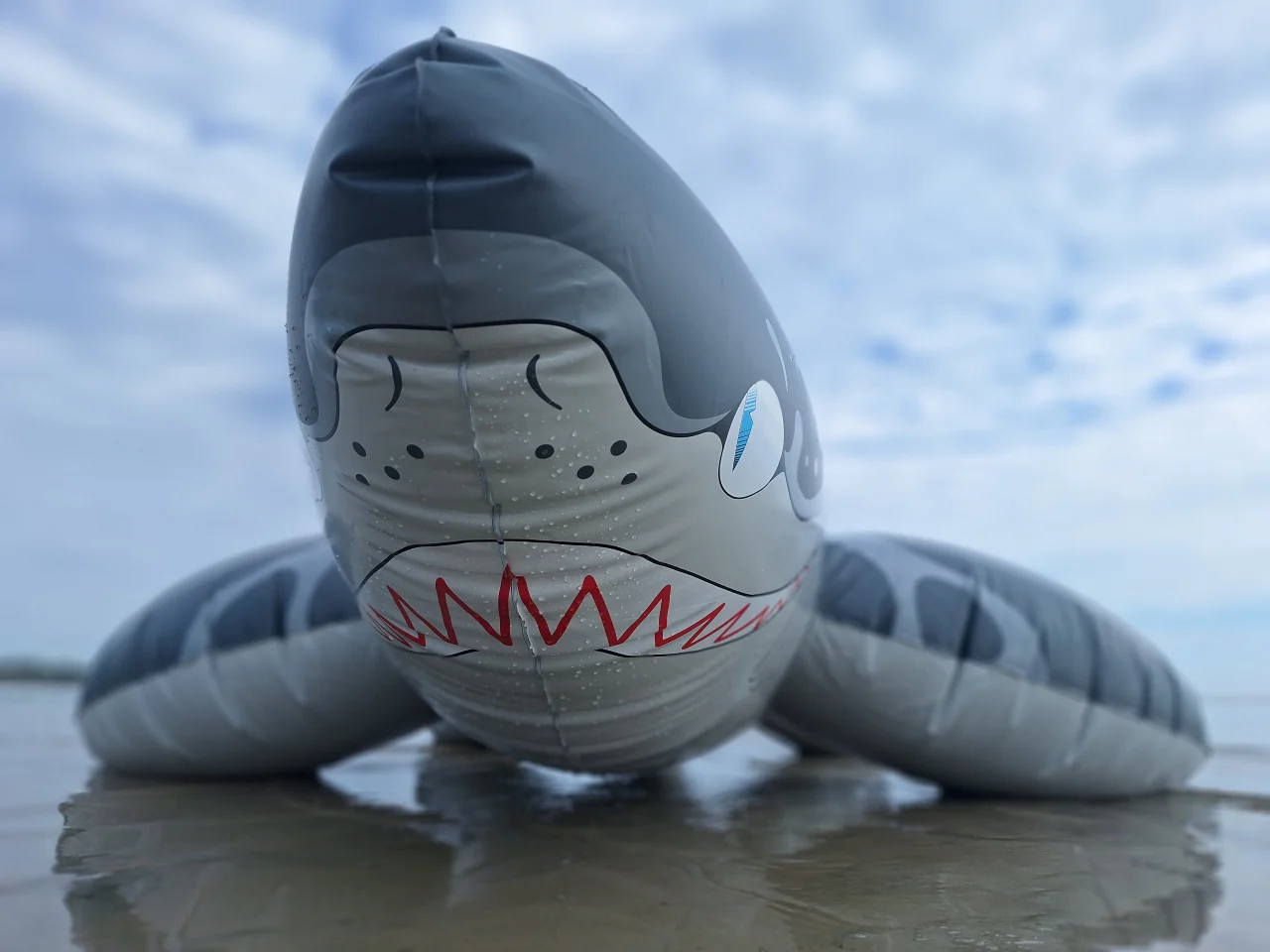 Triakis - Inflatable Leopard Shark by Buteo - Image 4