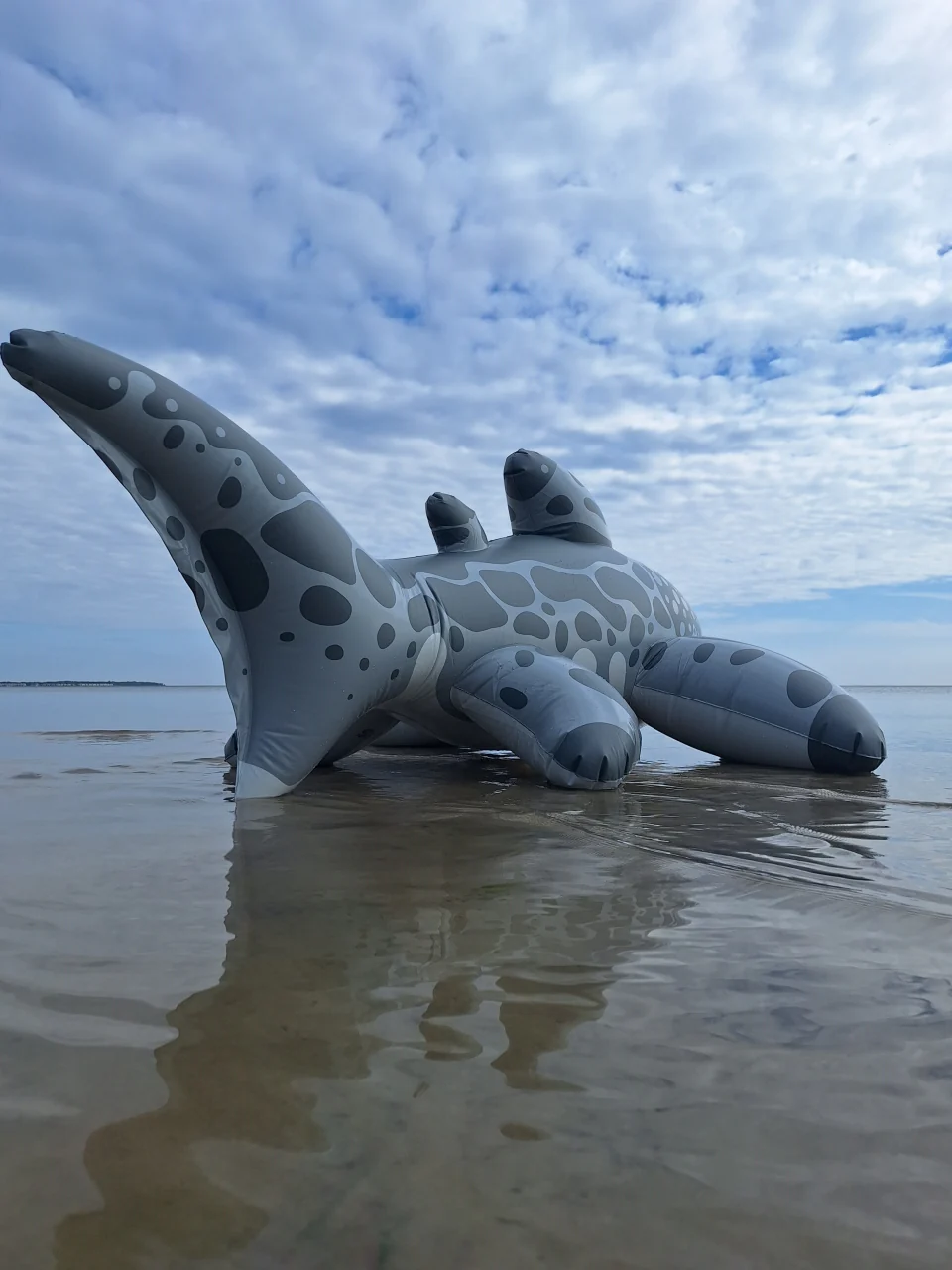 Triakis - Inflatable Leopard Shark by Buteo - Image 5