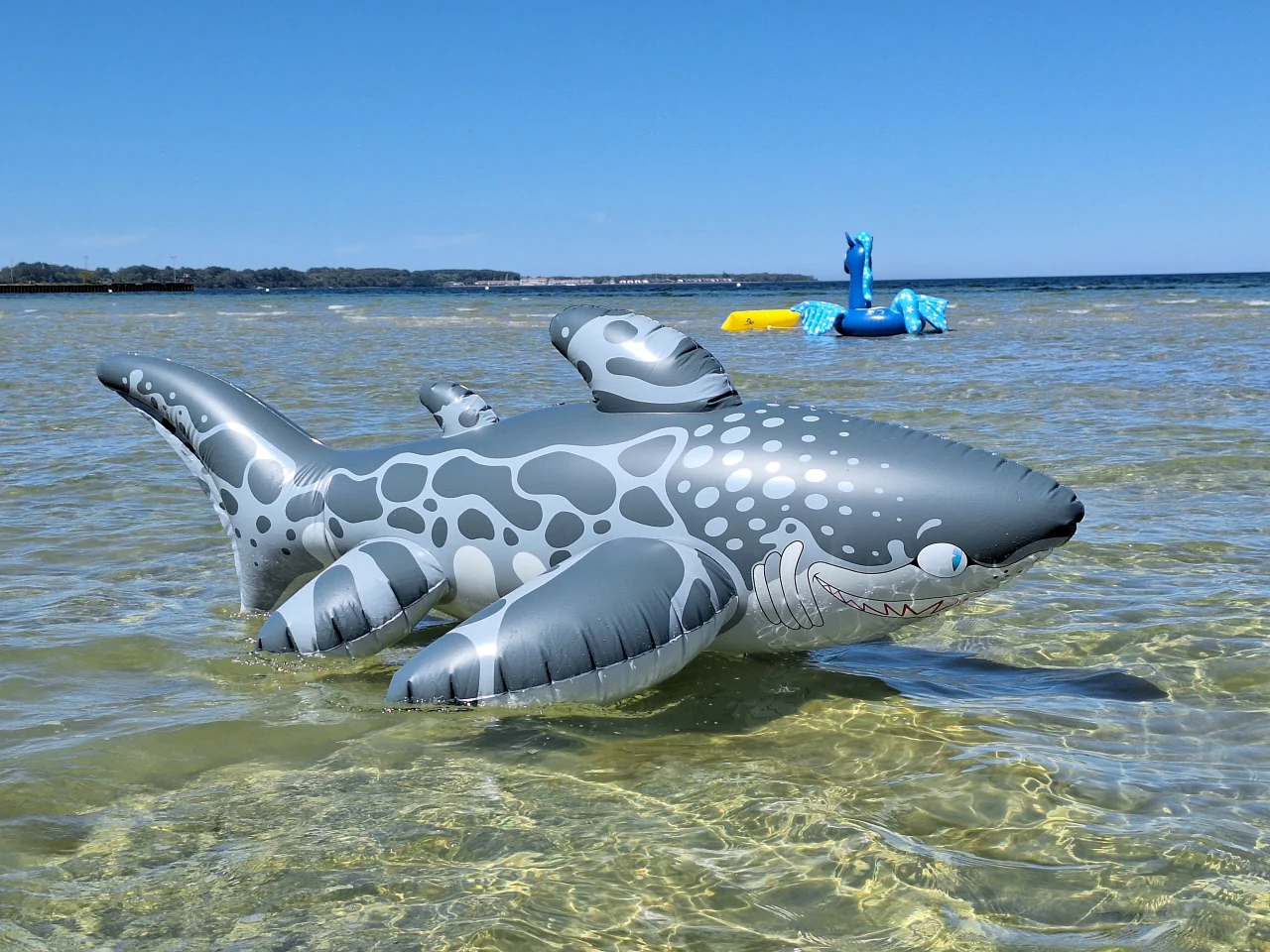 Triakis - Inflatable Leopard Shark by Buteo - Image 6